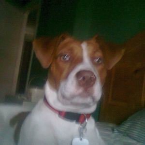 Meet your Posher, Lee